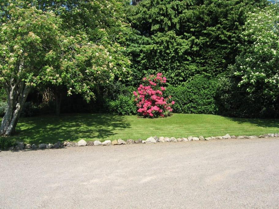 Self Catering Apartment At Beechwalk House. Enniskerry Ngoại thất bức ảnh